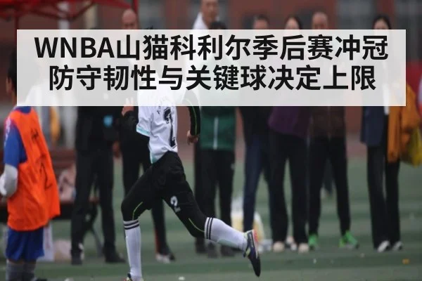 WNBA山猫科利尔季后赛冲冠防守韧性与关键球决定上限